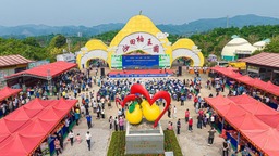 廣西容縣舉行農産品産銷對接暨柚花文化旅遊活動