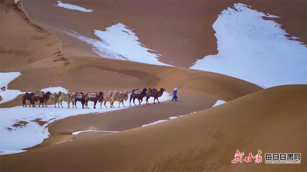 【大美甘肃】雪落巴丹吉林沙漠好看得不一般_fororder_3