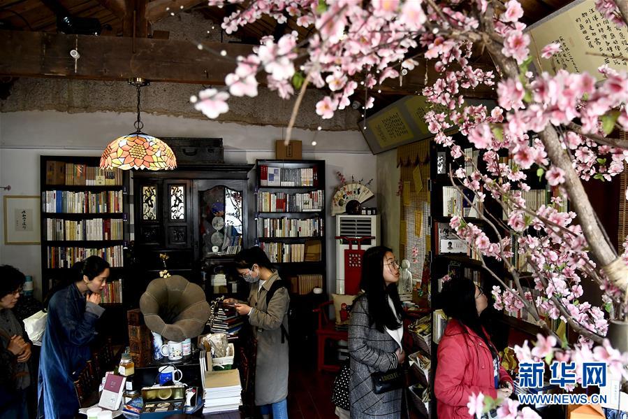 荒岛书店 “创旧”老青岛文化 荒岛书店 “创旧”老青岛文化