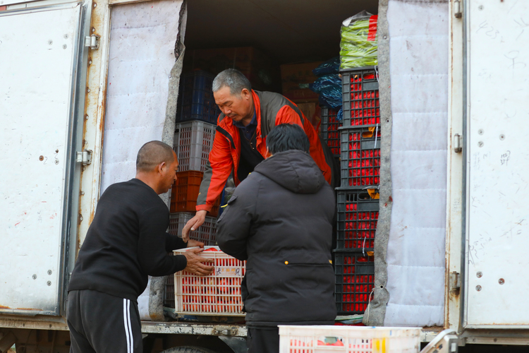 河北涞水：小小西红柿 “映红”致富路_fororder_图为，在涞水县娄村镇安阳村，采购商正在装运西红柿。（李金璐 摄）.JPG