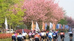 第八届“多彩贵州”自行车联赛暨第十五届福泉国际自行车节激情开赛