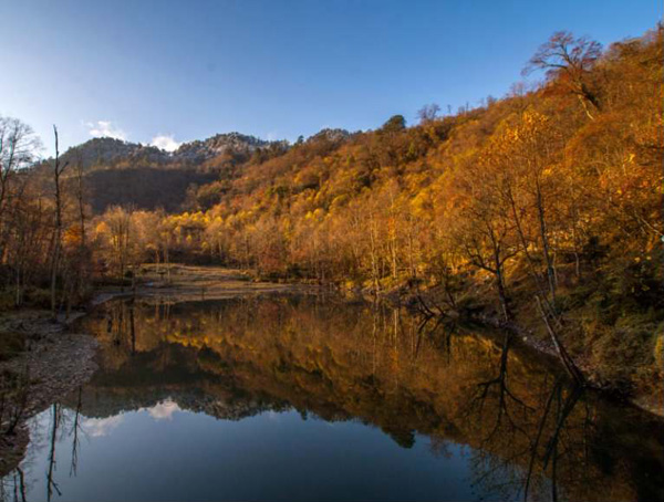 二郎山喇叭河景區金秋美景 供圖 雅安市天全縣委宣傳部四川省林業和