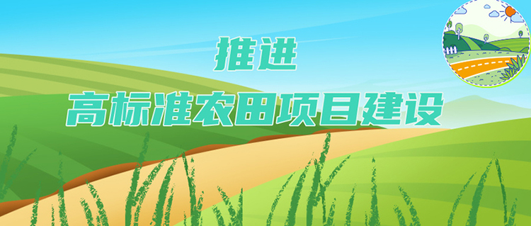 智能播种、无人机看管……春耕“科技范”持续加强