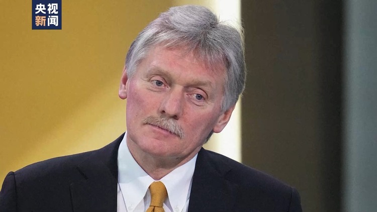 英媒爆料英国防参谋长帮助乌克兰制定黑海战略