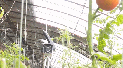 智能播种、无人机看管……春耕“科技范”持续加强