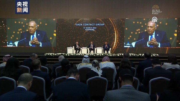 第三届安塔利亚外交论坛举行 多国政要呼吁在加沙地带立即实现停火
