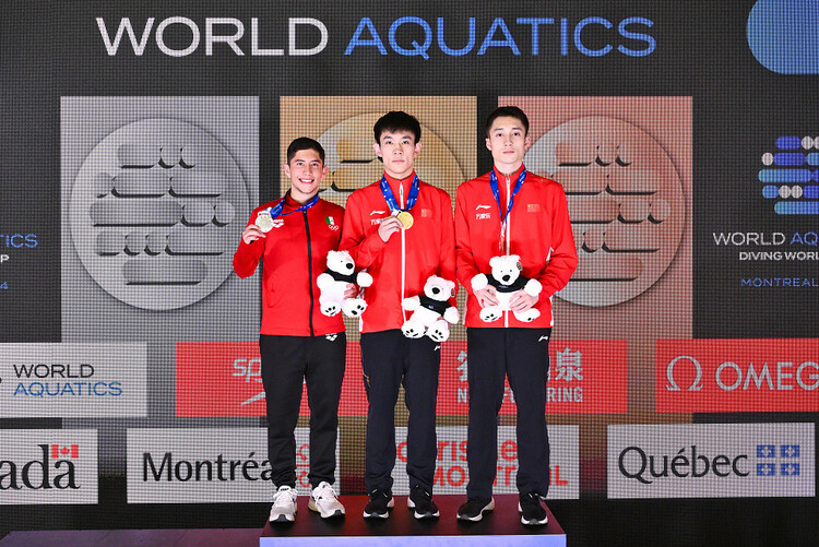 跳水世界杯蒙特利尔站中国队再揽四金