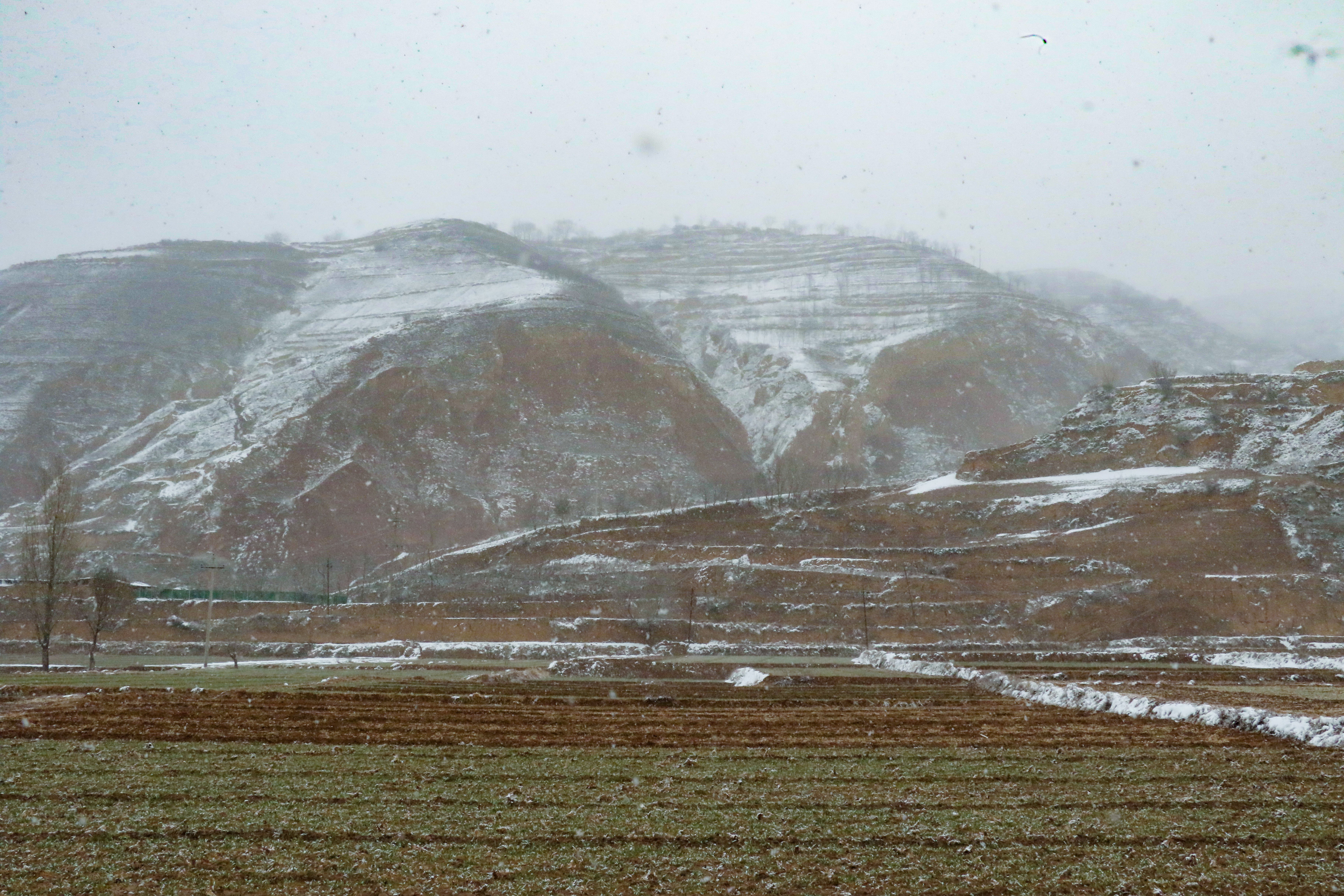 【天水】天水武山：瑞雪兆豐年 初春降雪有利農業生産_fororder_4