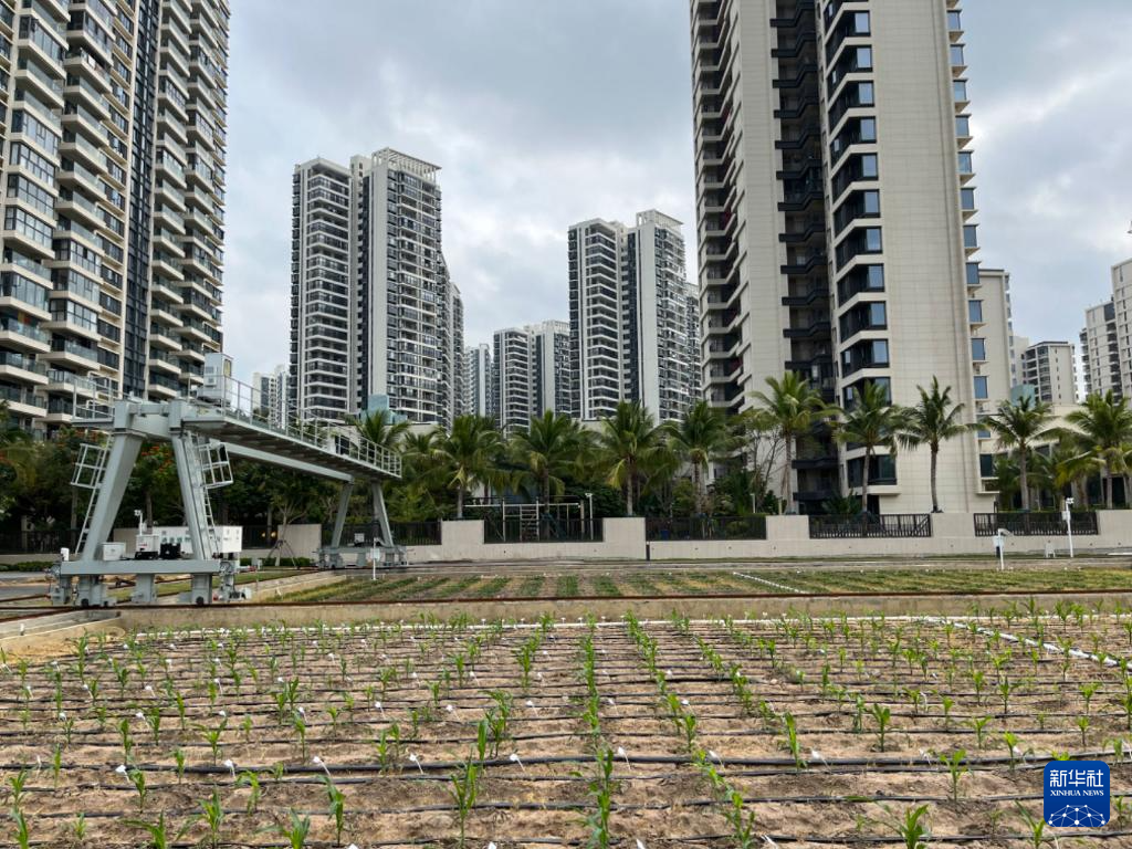 新品種·新技術·新模式——南繁新圖景觀察_fororder_20240305f20e33cb1bbf42dc9813892458243208_202403056fb962fc7a1146a2a1446b22268771da