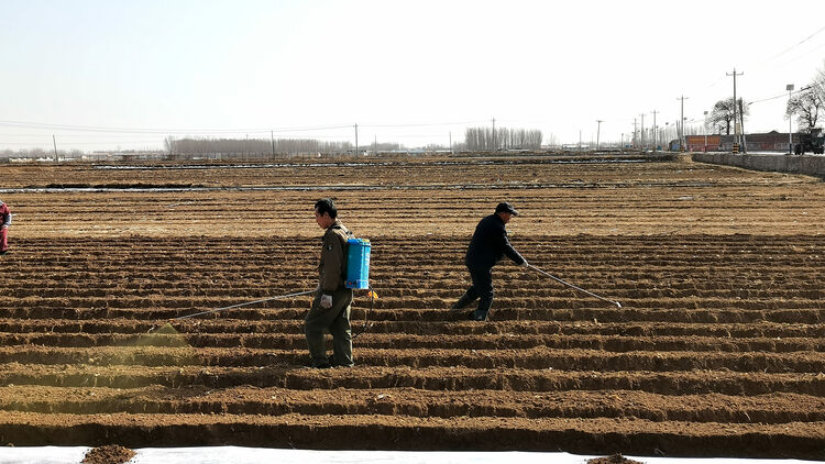 河北唐縣：農技指導“護航”春耕備播_fororder_農戶在噴灑農藥