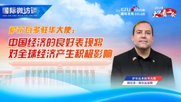 エルサルバドル駐中国大使：中国経済の良好な表現は世界経済に積極的な影響を与えるだろう（1）