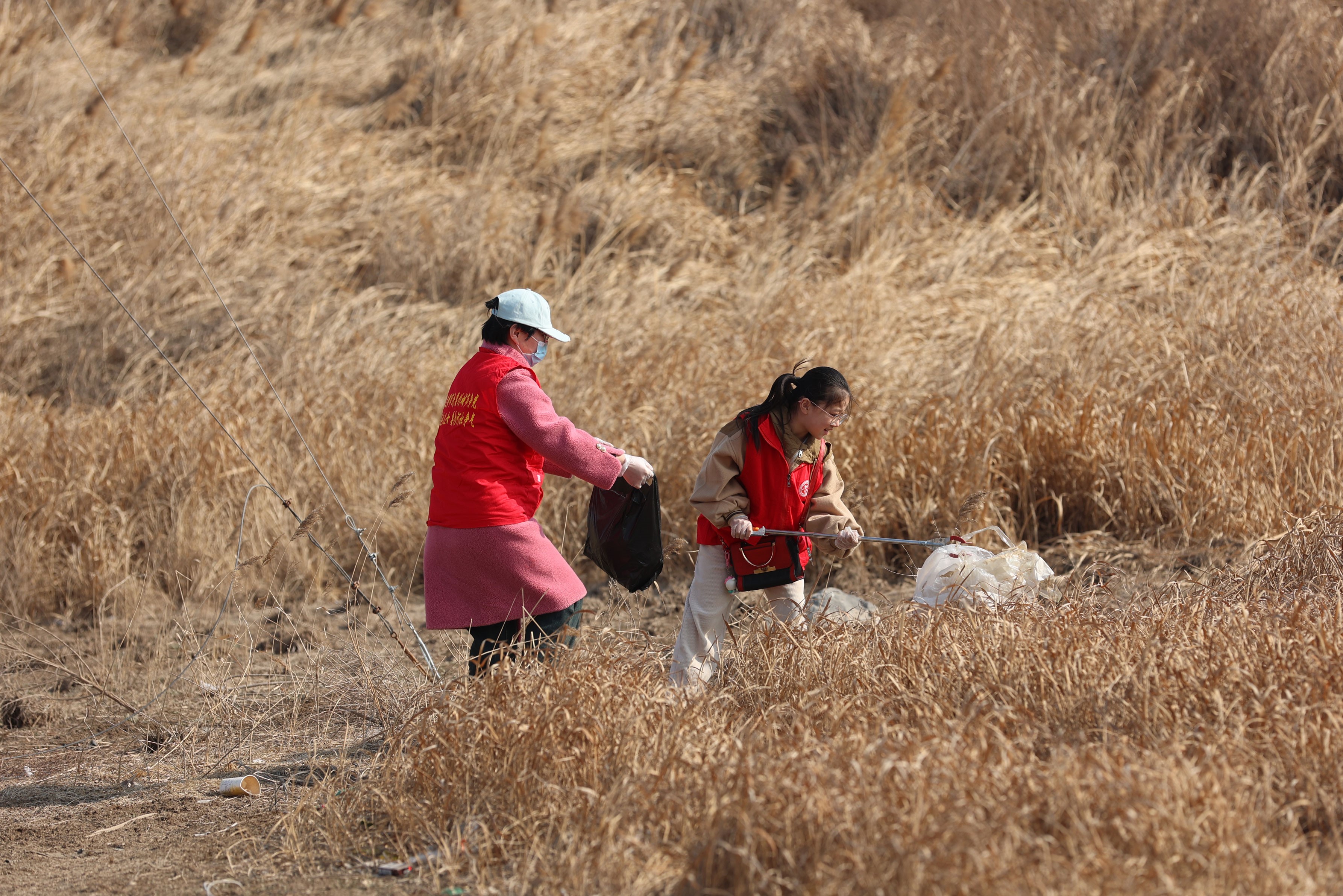 圖片默認標題_fororder_2