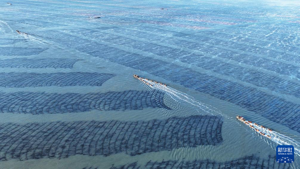 山東榮成：“海上春耕”忙_fororder_20240303762c7b50d13641e6b4038d7c5c1bd155_20240303a302bf53fa9c4a2eb7e376d0d6e2c276