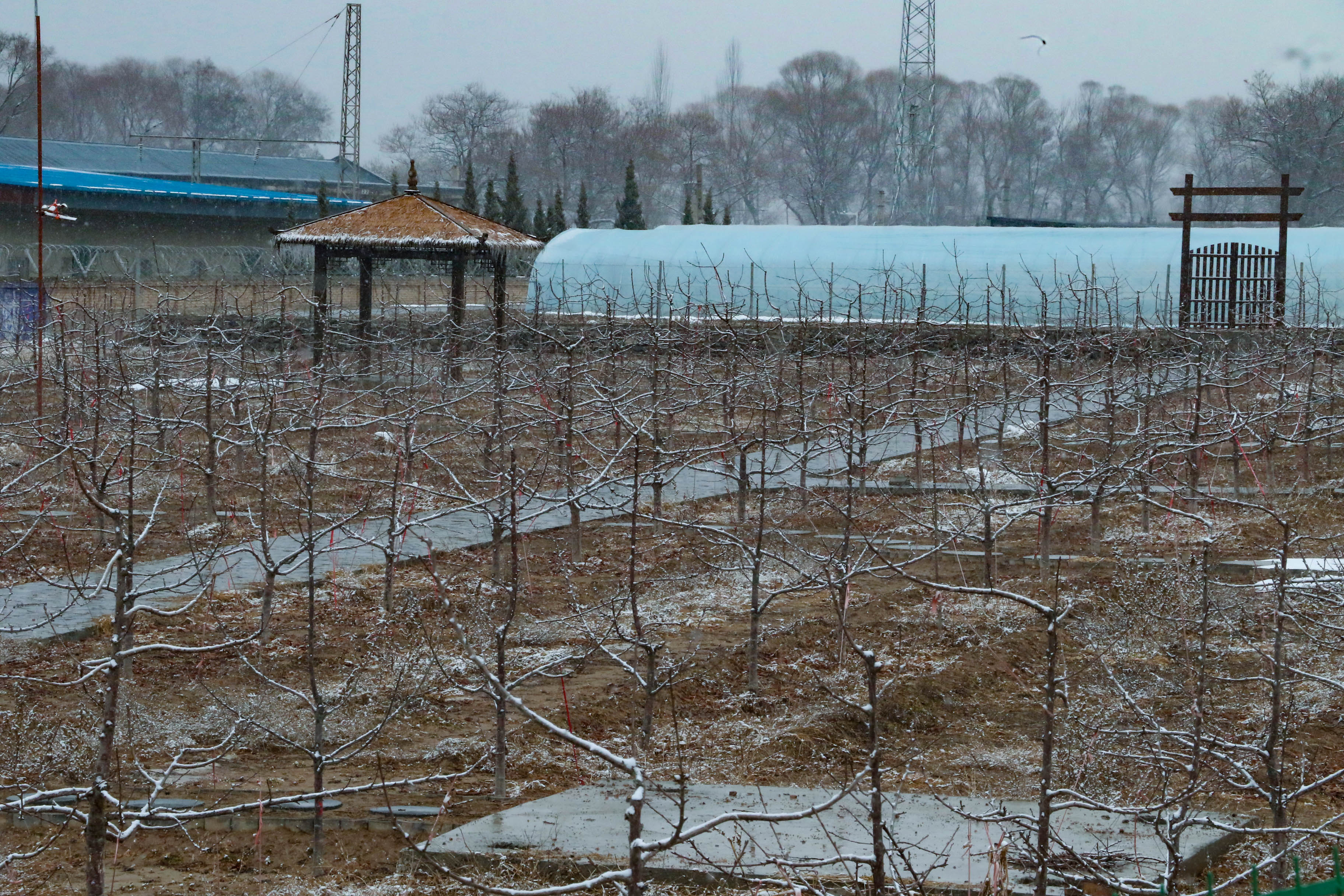 【天水】天水武山：瑞雪兆豐年 初春降雪有利農業生産_fororder_2