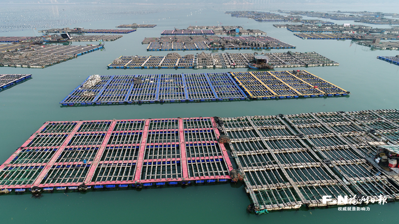 福州连江：海味山珍齐丰收 做出产业富民大文章