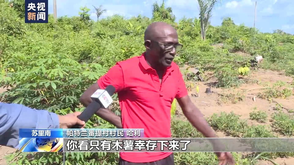 总台记者直击丨苏里南干旱致河流水位下降 影响沿岸民众生活