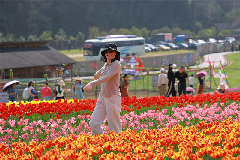 【春日裏的河南】信陽固始：鬱金香花海美如畫_fororder_4遊客花中舞