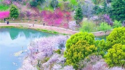 武漢評出15座“精緻公園” 黃鶴樓公園等入選