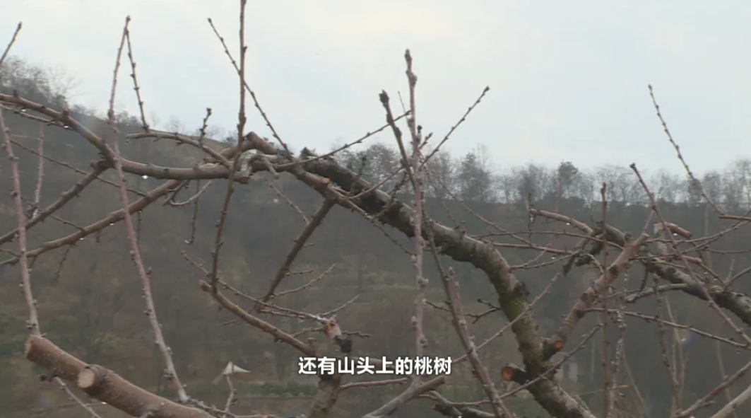 金华金东源东乡：来休闲农场 品源东八大碗_fororder_微信截图_20240307152903