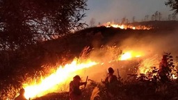 六盤水市水城區森林消防救援大隊大隊長畢加偉：逆火而行的火場“總指揮員”