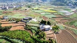 贵州独山麻抹社区: “红色动能”为农业产业增添无限活力
