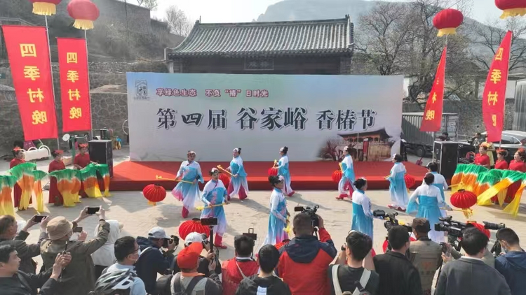 香椿文化节手抄报图片