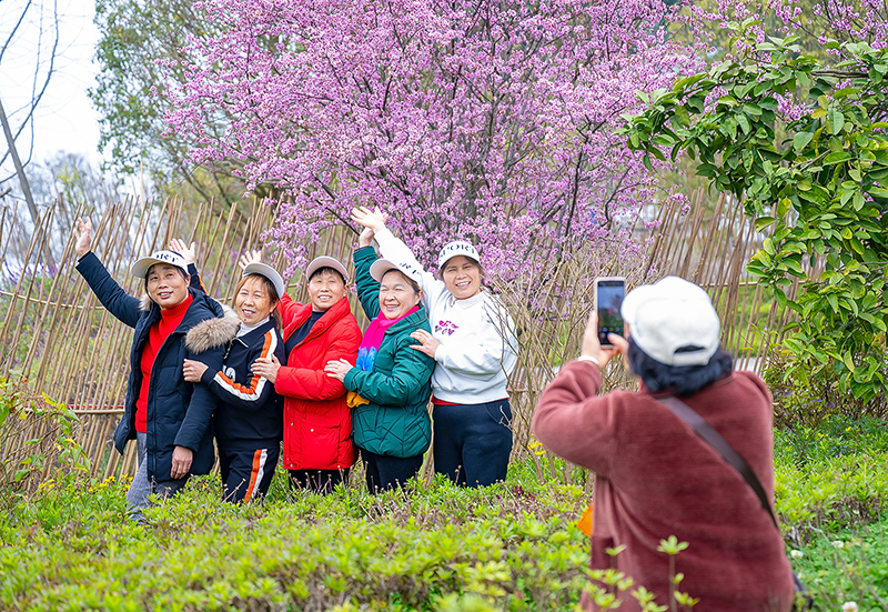 自贡市第二十四届自流井·尖山桃花会开幕_fororder_4游客在桃花树下拍照留影（摄影-廖志全）