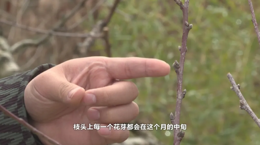 金华金东源东乡：来休闲农场 品源东八大碗_fororder_微信截图_20240307152917