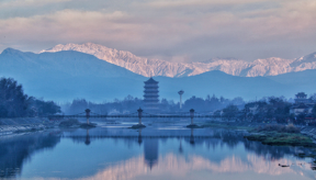Embrace a Road Trip with Flowers in Chongzhou, Chengdu