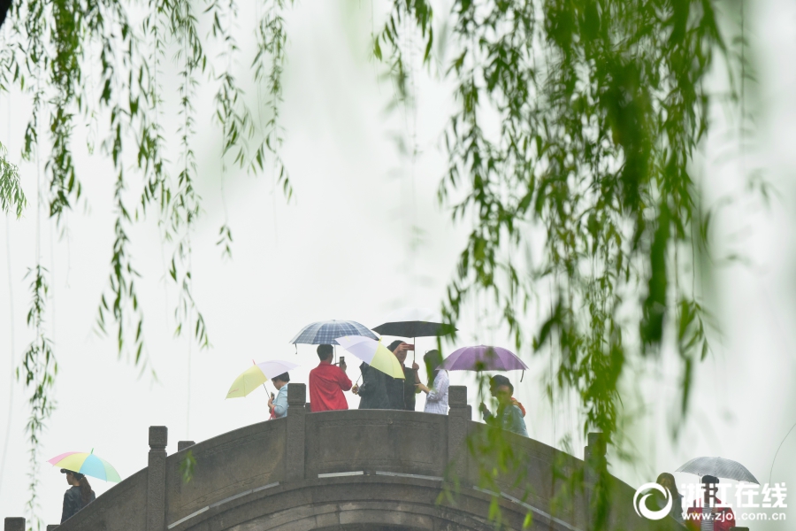 雨中西湖别样美