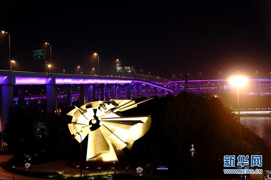 上海：流光溢彩迎接第二届进博会