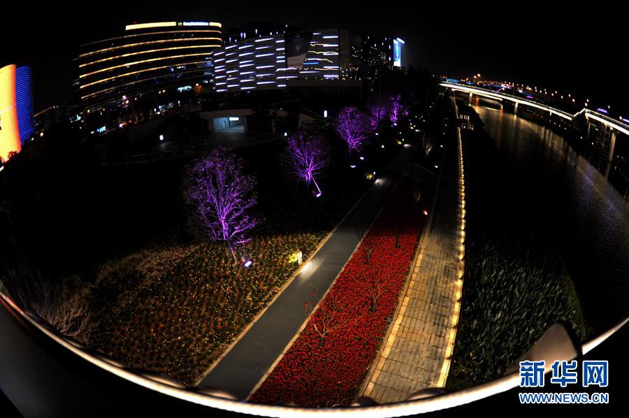 上海：流光溢彩迎接第二届进博会