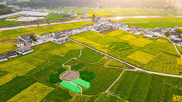 2024德阳罗江油菜花节系列活动精彩开幕_fororder_mmexport1710132895380