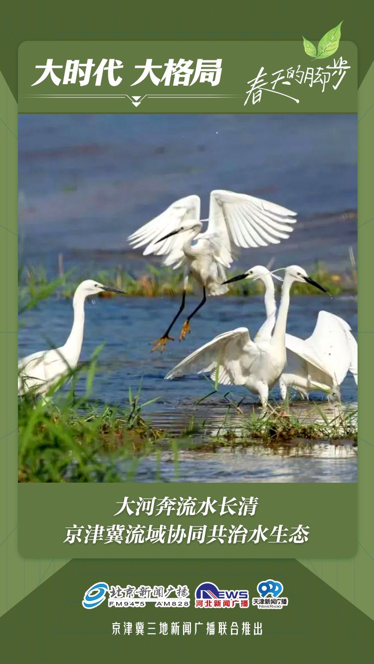 大时代大格局丨大河奔流水长清京津冀流域协同共治水生态