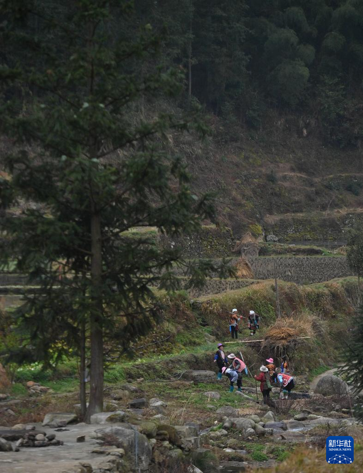 他們堅持每年種樹 守護綠水青山