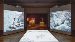 “安阳——中国古代王城”展览研讨会在美国举办