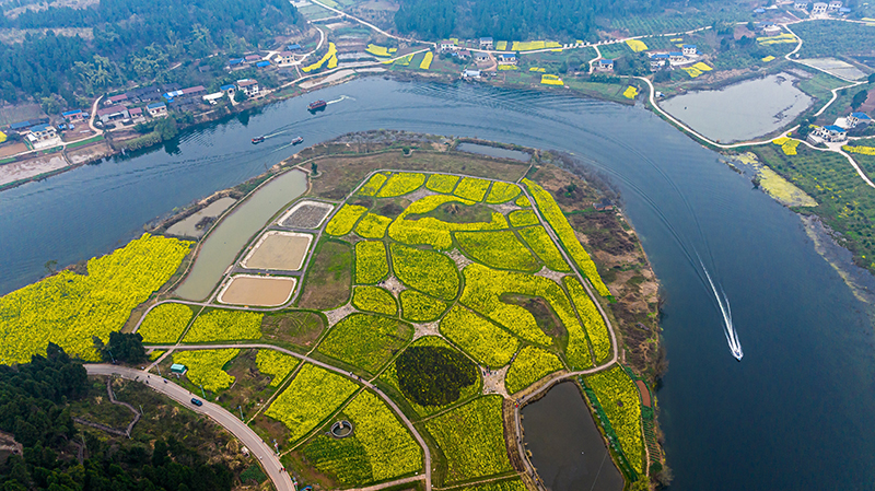 图集|邂逅资阳安岳醉美春光_fororder_安岳县卧佛镇卧佛村"油菜花经济