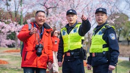 上海“最长樱花节”将至 民警出动无人机做好“护花使者”
