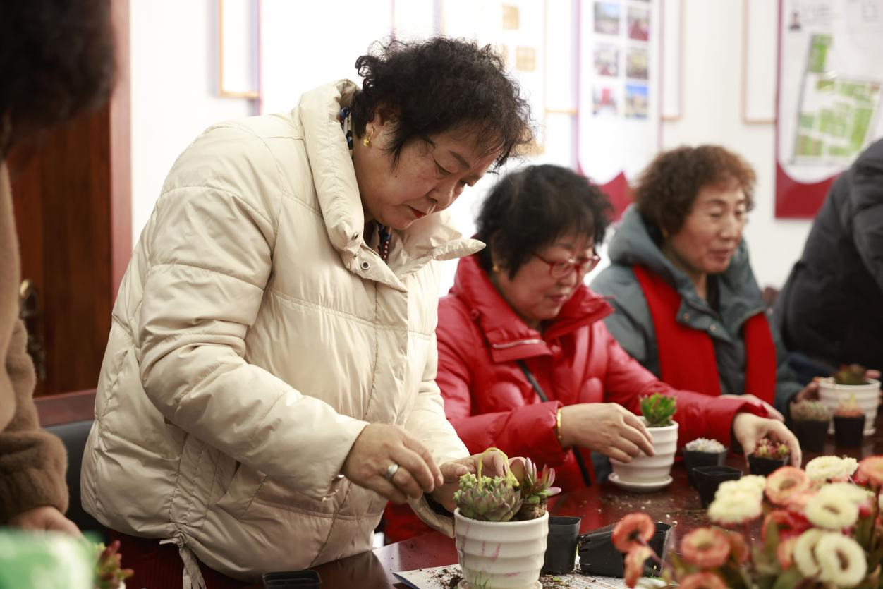 滄州市新華區：春暖添綠意 齊創幸福城_fororder_圖片 3