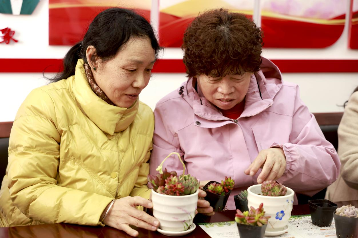 滄州市新華區：春暖添綠意 齊創幸福城_fororder_圖片 5