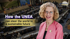 How the UNEA Can Steer the World to a Sustainable Future_fororder_圖片20