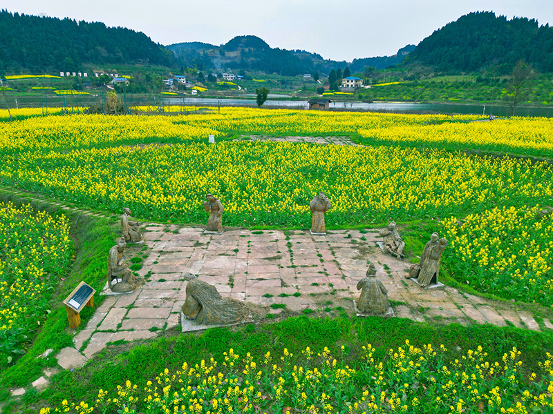图集|邂逅资阳安岳醉美春光_fororder_安岳县卧佛镇卧佛村金灿灿的