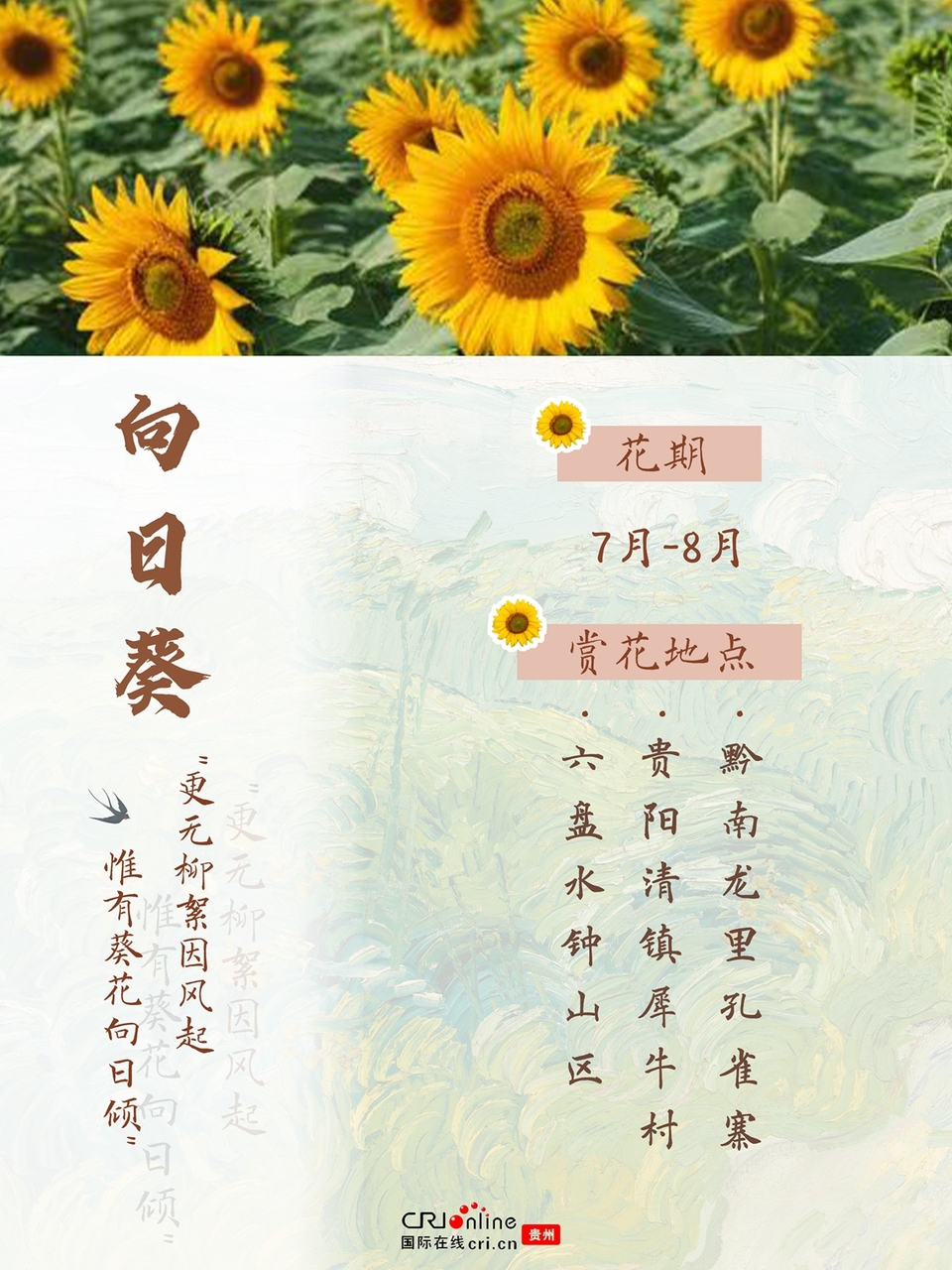 春夏到哪儿赏花？这份贵州赏花地图带你找找灵感_fororder_向日葵