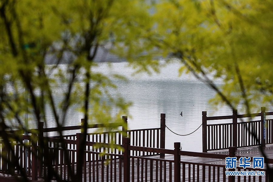 天津：雨润北运河