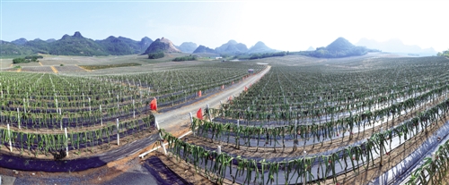 【滚动新闻】立下愚公移山志 打好脱贫攻坚战