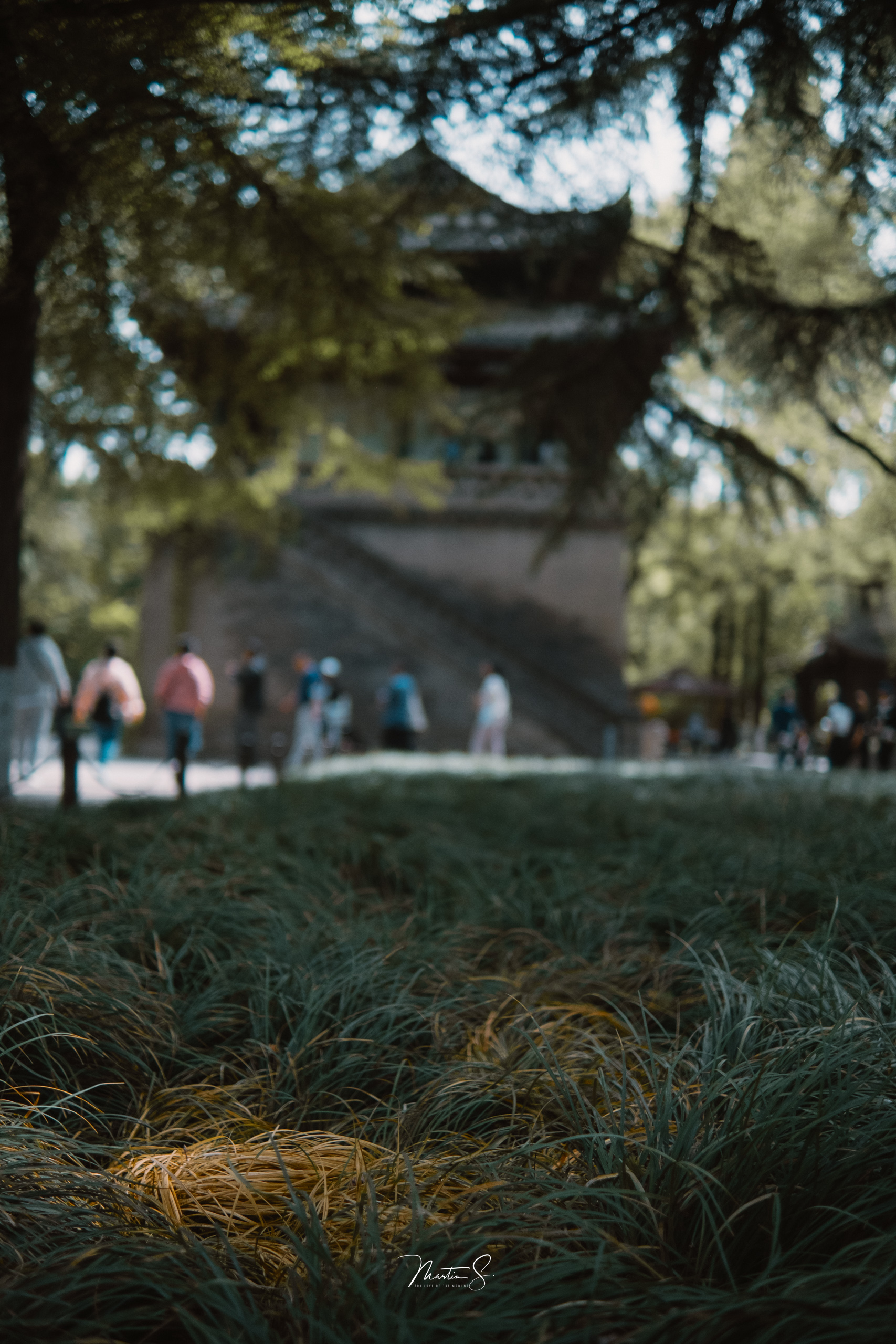 克罗地亚网红摄影师马丁镜头下的西安，古香古色 如诗如画_fororder_马丁1