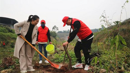 重庆永川：积极组织社区矫正对象参与公益植树活动