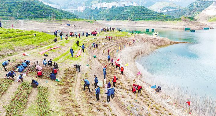 20多年接續搶救 成活率90%以上 三峽集團保護珍稀瀕危植物2.98萬株