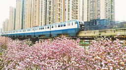 重慶主城多地駛來“開往春天的列車”