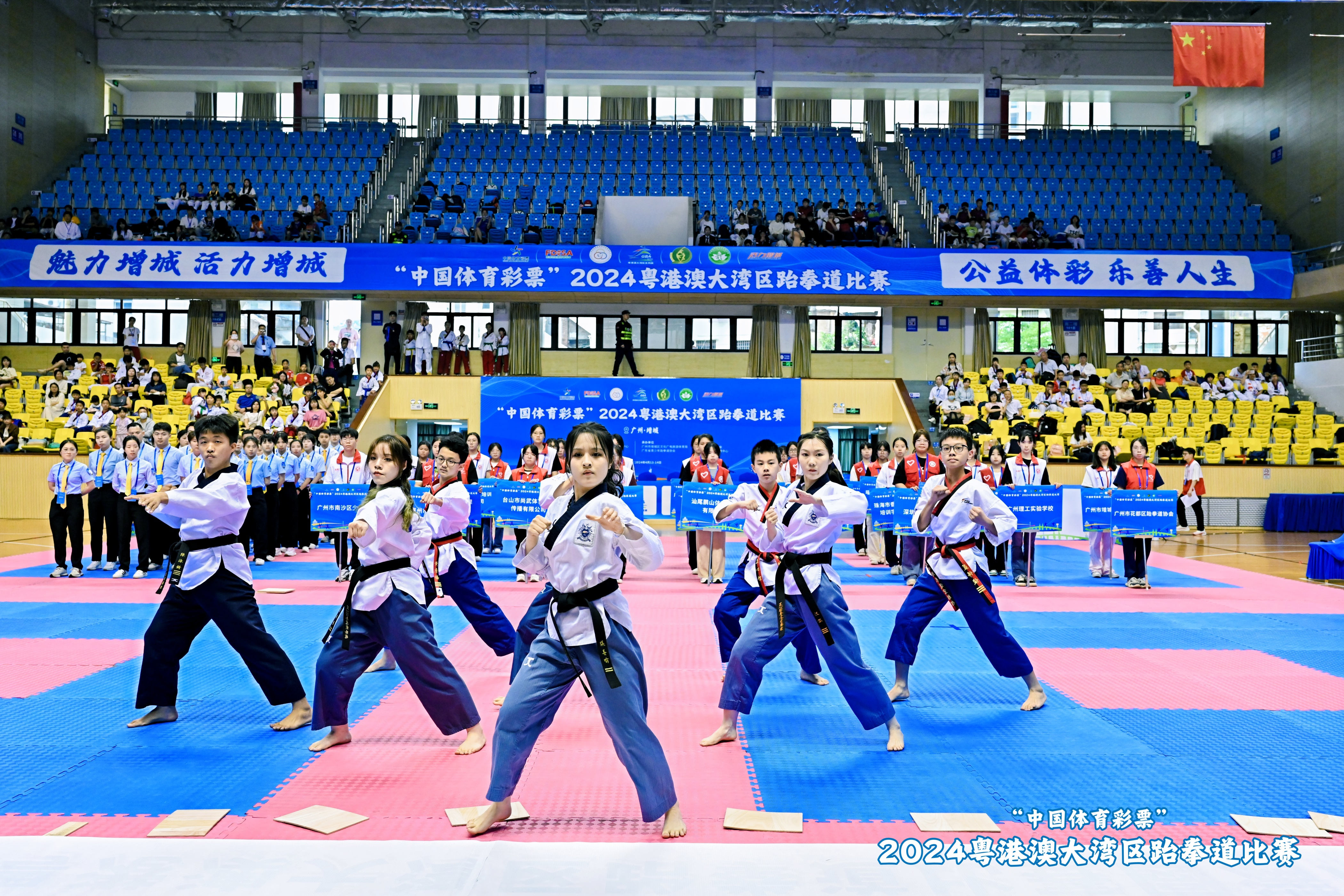 2024粤港澳大湾区跆拳道比赛 在广州增城举办_fororder_图片1